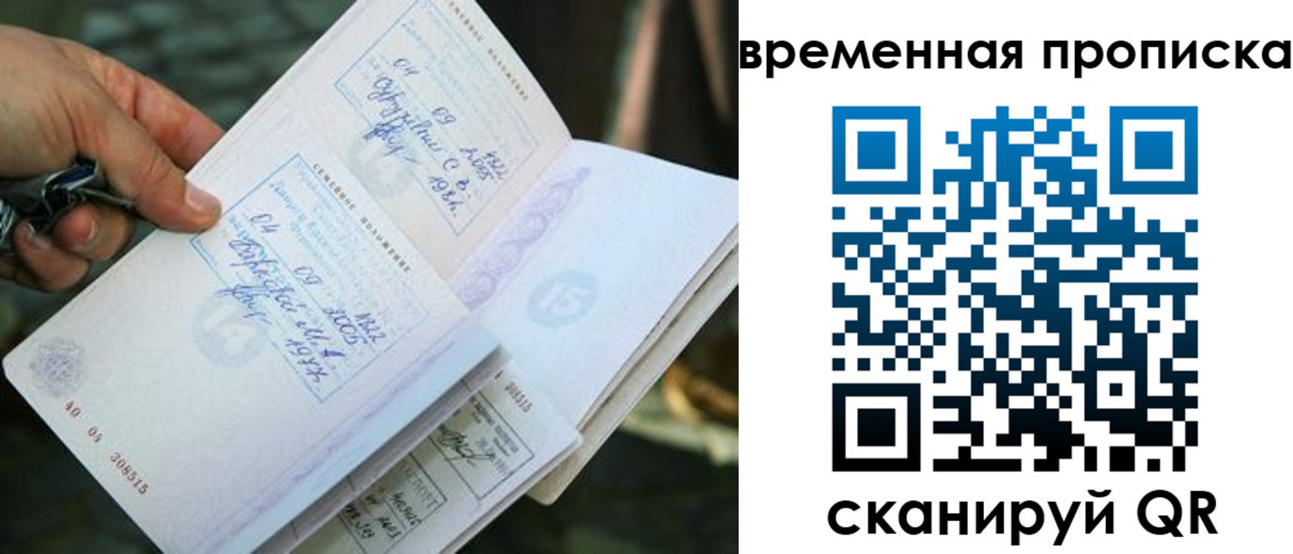 пропишу в квартире в Электрогорске